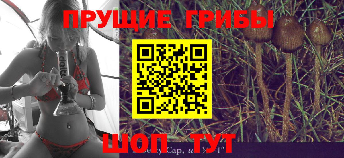 Псилоцибиновые грибы Psilocybe  Псилоцибиновые грибы мухоморы  Азов  Вход с VPN 